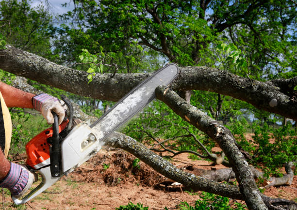 Best Lawn Grading and Leveling  in Gahanna, OH